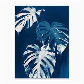 Monstera Canvas Print