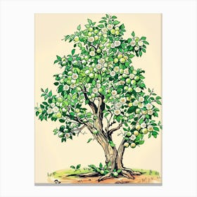 Lime Tree Storybook Illustration 2 Canvas Print