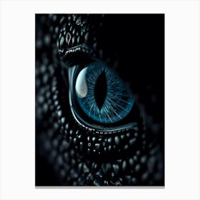 Eye Of The Dragon Canvas Print