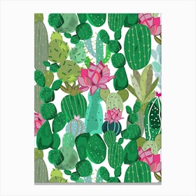 Cactus And Succulent Canvas Print