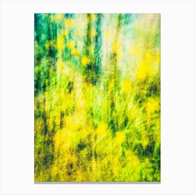 In Bloom Canvas Print