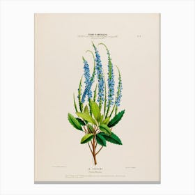 Lily Of The Valley 8 Canvas Print