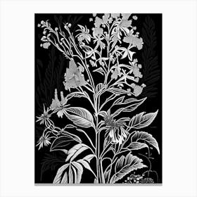 Black Snakeroot Wildflower Linocut 2 Canvas Print