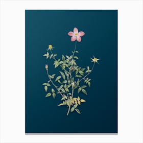 Vintage Single Dwarf Chinese Rose Botanical Art on Teal Blue n.0048 Canvas Print