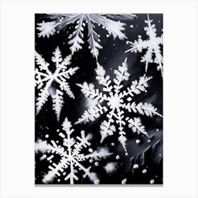 Ice, Snowflakes, Black & White 1 Canvas Print