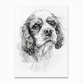 Cavalier King Charles Dog Line Sketch Dog Line Drawing Sketch 2 Canvas Print