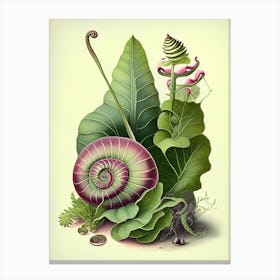 Mystery Snail  Botanical Canvas Print