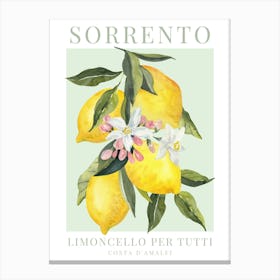Sorrento Lemon Print Canvas Print