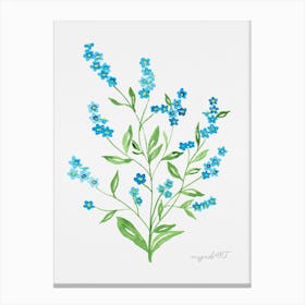 Forget-me-not Canvas Print