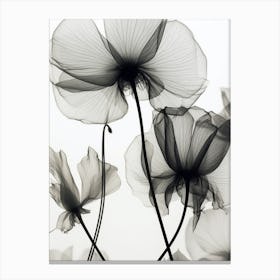 Black White Image Flowers Canvas Print