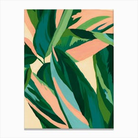 Calathea Triostar Is For Plantlovers Canvas Print
