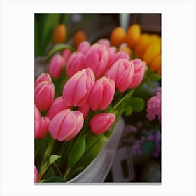 Pink Tulips Canvas Print