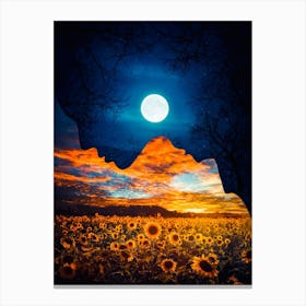 Night And Day Duality Canvas Print