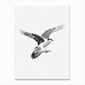Osprey B&W Pencil Drawing 1 Bird Canvas Print