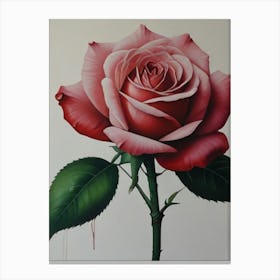 Rose Picture Canvas Print