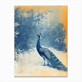 Orange & Blue Peacock In A Snow Scene 3 Canvas Print