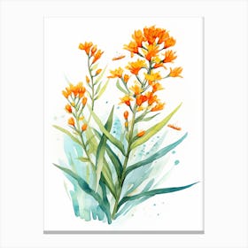 Butterfly Weed Wildflower In Watercolor  (2) Canvas Print