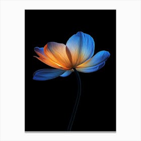 Lotus Flower 18 Canvas Print