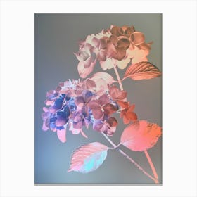 Iridescent Flower Hydrangea 1 Canvas Print