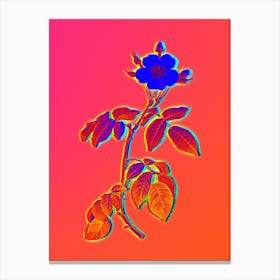 Neon Big Leaved Climbing Rose Botanical in Hot Pink and Electric Blue n.0447 Canvas Print