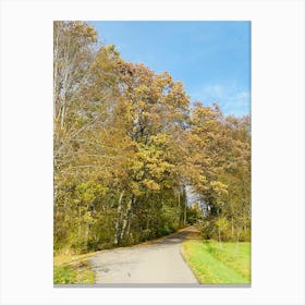 Autumn Leaves On A Road Canvas Print