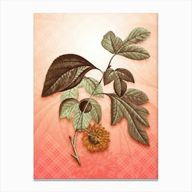 Paper Mulberry Flower Vintage Botanical in Peach Fuzz Tartan Plaid Pattern n.0262 Canvas Print