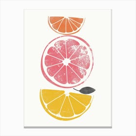 Citrus Slices 8 Canvas Print