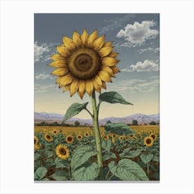 Sunflower 12 Canvas Print