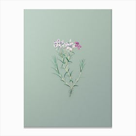Vintage Shewy Phlox Flower Branch Botanical Art on Mint Green n.0368 Canvas Print