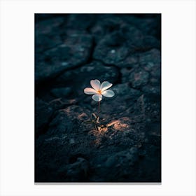 Flower In The Dark 97 Canvas Print