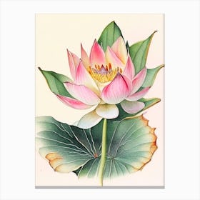 American Lotus Watercolour Ink Pencil 3 Canvas Print
