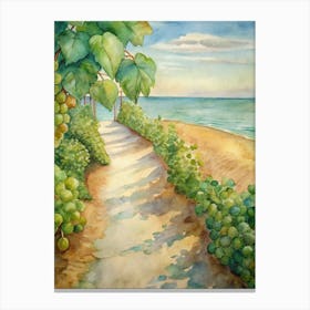 Path To The Beach Canvas Print