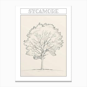 Sycamore Tree Minimalistic Drawing 3 Poster Canvas Print