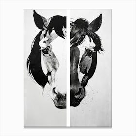 Two Horses Canvas Print