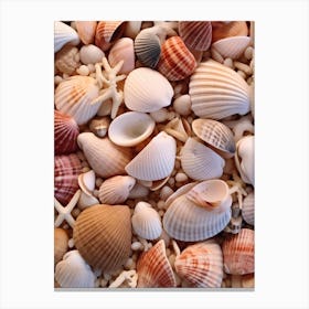 Sea Shells 3 Canvas Print