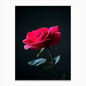 Rose On Black Background 15 Canvas Print