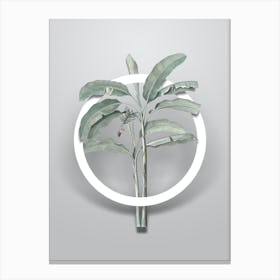 Vintage Banana Tree Minimalist Floral Geometric Circle on Soft Gray n.0417 Canvas Print