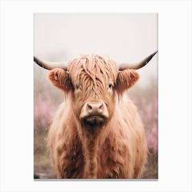 Pink Photography Style Of Highland Cow In The Rain 2 Canvas Print