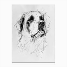 St Bernard Dog Charcoal Line 2 Canvas Print