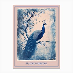 Blue & White Peacock On A Tree Cyanotype Poster Canvas Print