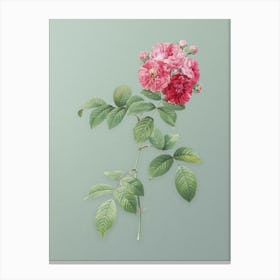 Vintage Seven Sisters Roses Botanical Art on Mint Green n.0605 Canvas Print