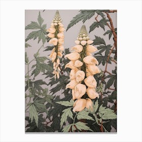 Flower Illustration Aconitum 3 Canvas Print