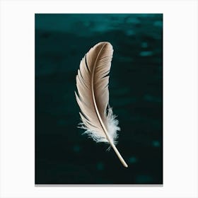 Feather Feather Canvas Print