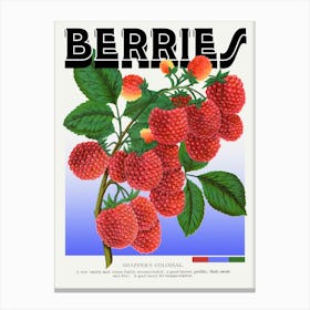 Berries Raspberries Shaffers Colossal Graphic Wall Art Vintage Unique Eclectic Canvas Print