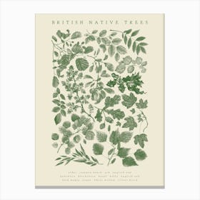 British Native Trees Canvas Print