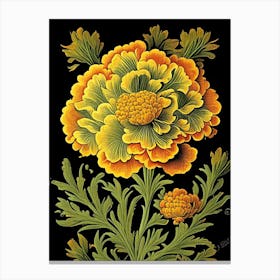 Marigold 1 Floral Botanical Vintage Poster Flower Canvas Print