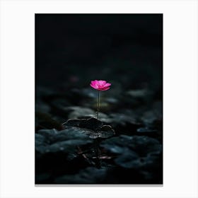 Lotus Flower 35 Canvas Print