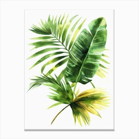 Watercolor Tropical Leaves Canvas Print