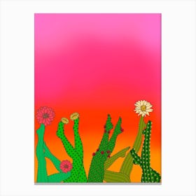 Cactus Legs Canvas Print