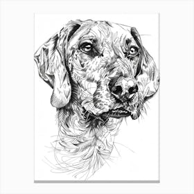 Plott Hound Dog Line Sketch 1 Canvas Print